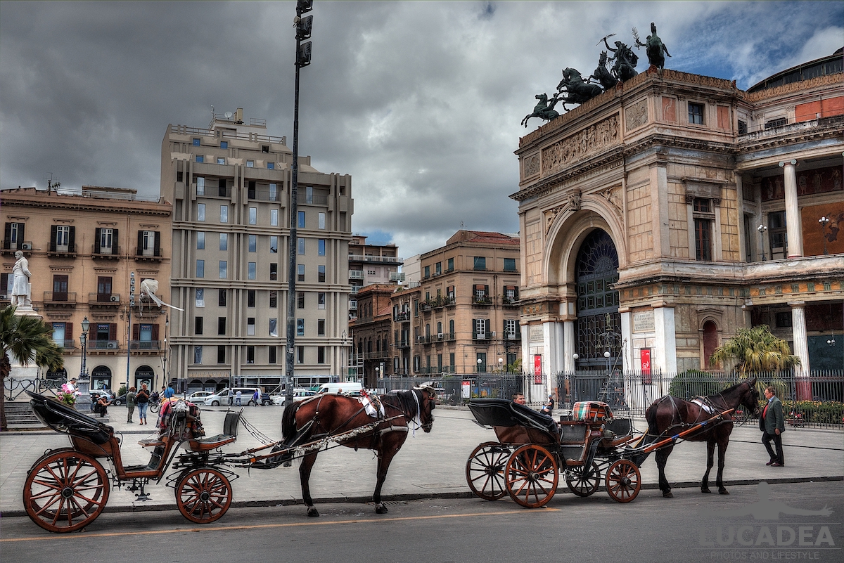 Cavalli a Palermo