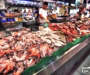 Un banco del pesce al mercato di Palma