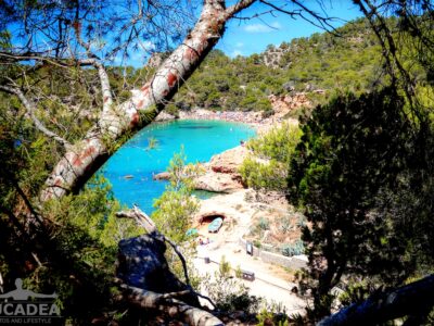Spiagge da sogno: Cala Salada ad Ibiza