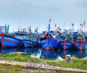 Barchette da pesca a Da Nang