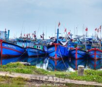 Barchette da pesca a Da Nang