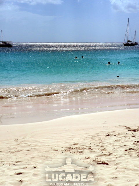 Brownie beach a Barbados