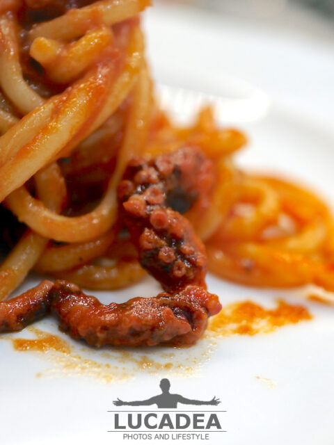 Spaghetti con il sugo di polpo