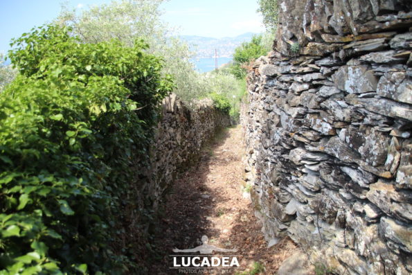 Il sentiero per il Santuario di Montallegro a Rapallo