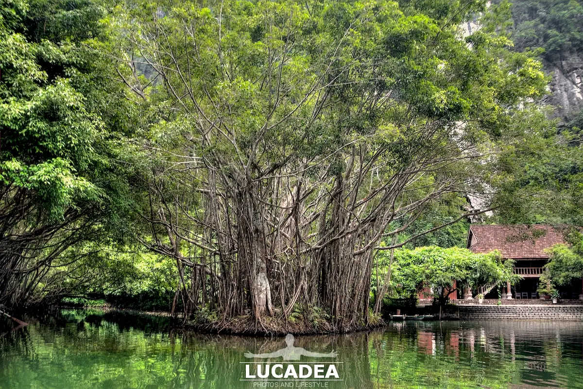 La natura quasi incontaminata del Vietnam