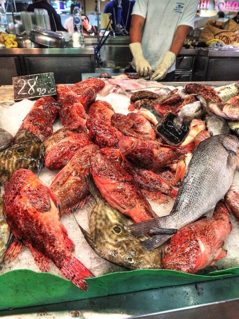 Pesci sul banco al mercato di Palma
