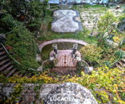 La scalinata del Parco di villa Rocca dall'alto