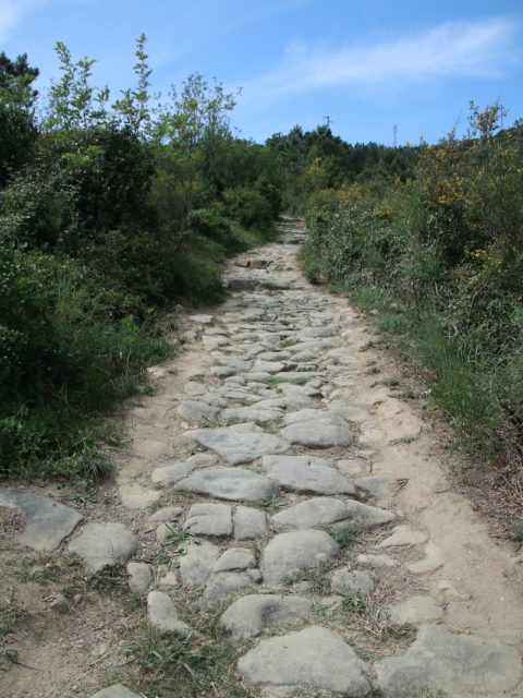 La strada per le Rocche di Sant'Anna a Sestri Levante