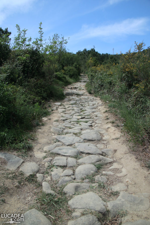 La strada per le Rocche di Sant'Anna a Sestri Levante