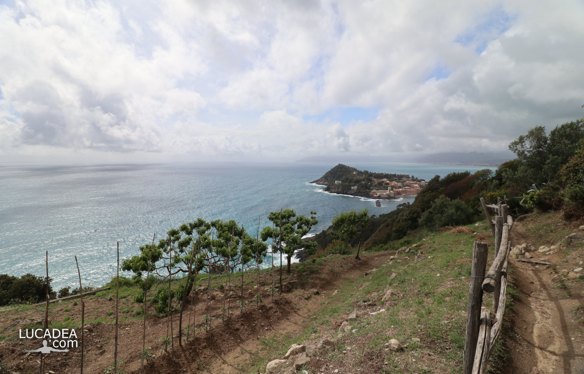 Il panorama dal sentiero per Punta Manara