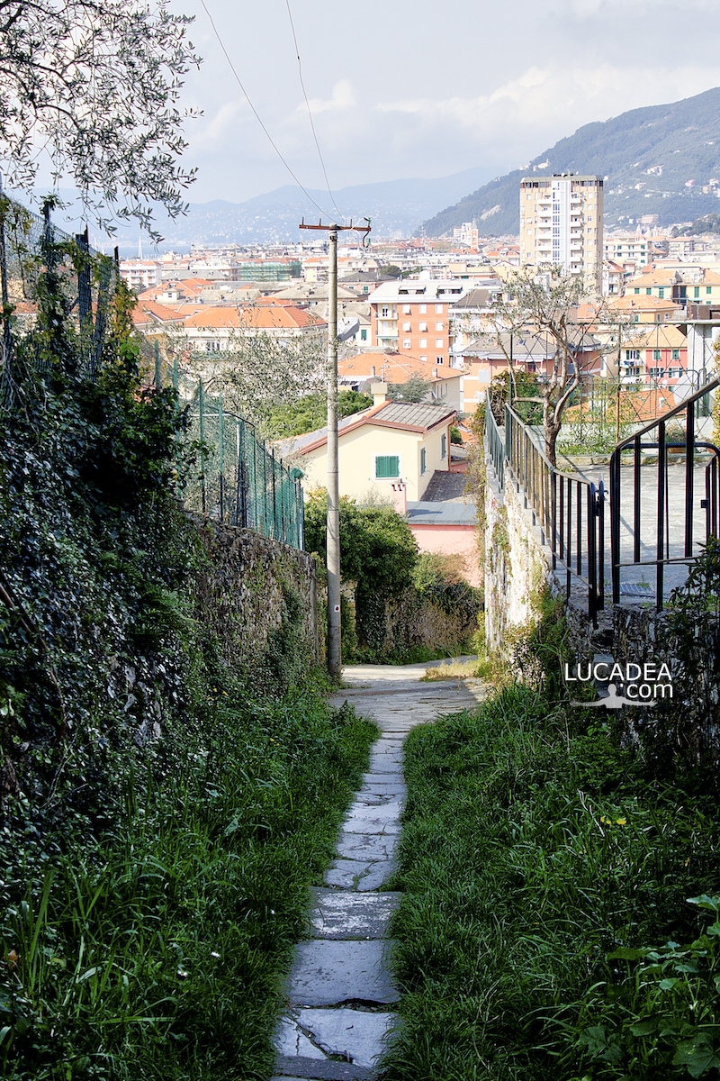 La parte finale del sentiero che da Santa Giulia scende a Lavagna