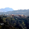 Villa Rovereto sopra a Sestri Levante