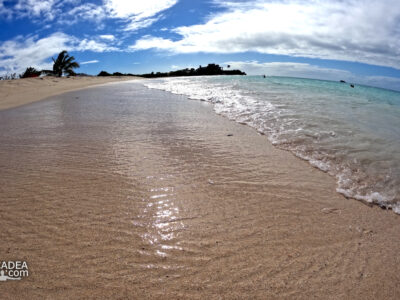 Spiaggia da sogno: Dickenson Bay ad Antigua