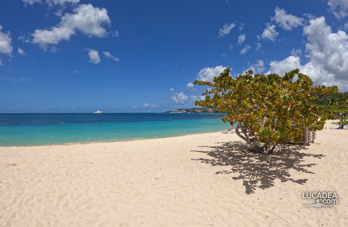 Spiagge da sogno: la splendida Grand Anse a Grenada