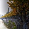 Gli alberi del lungolago di Lugano in Svizzera