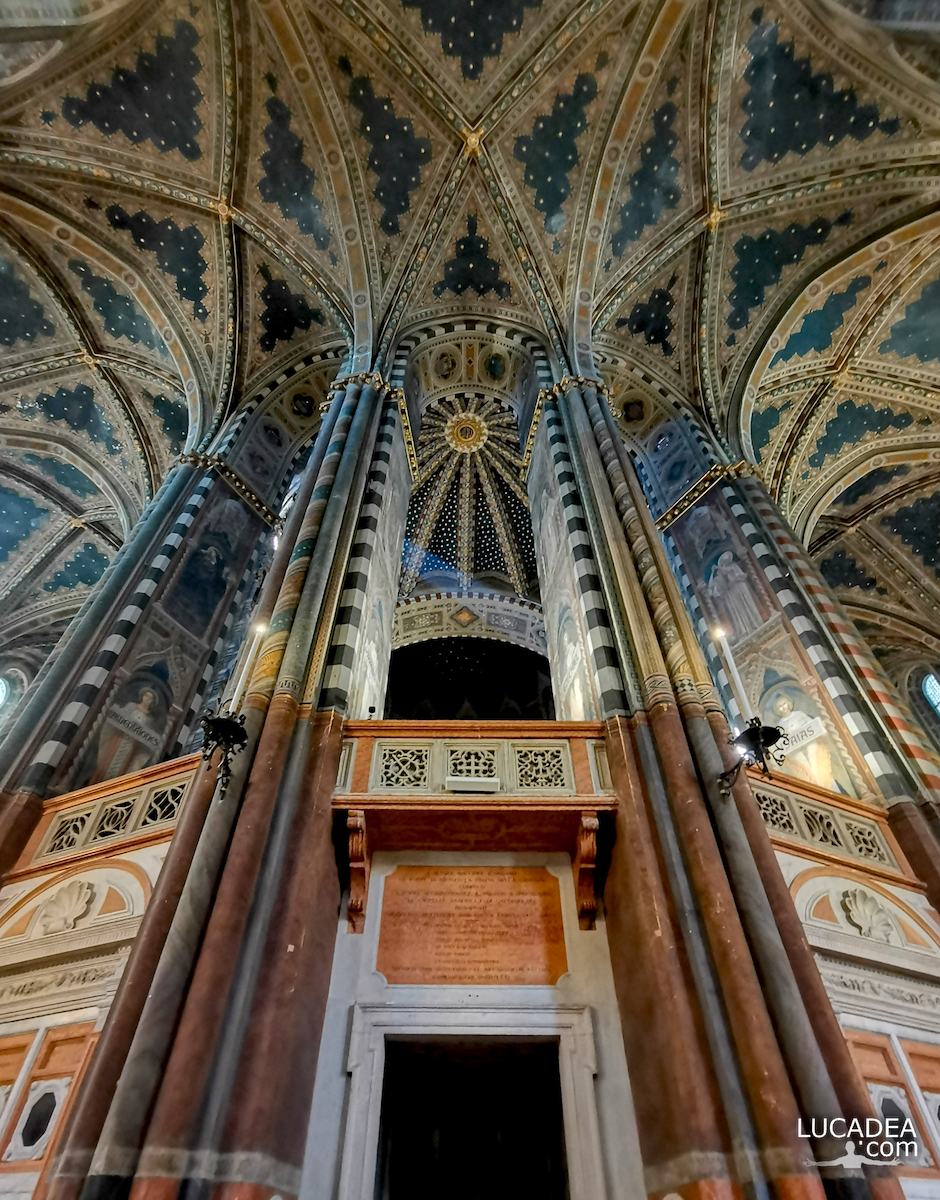 Il soffitto stellato della Basilica di Sant’Antonio di Padova