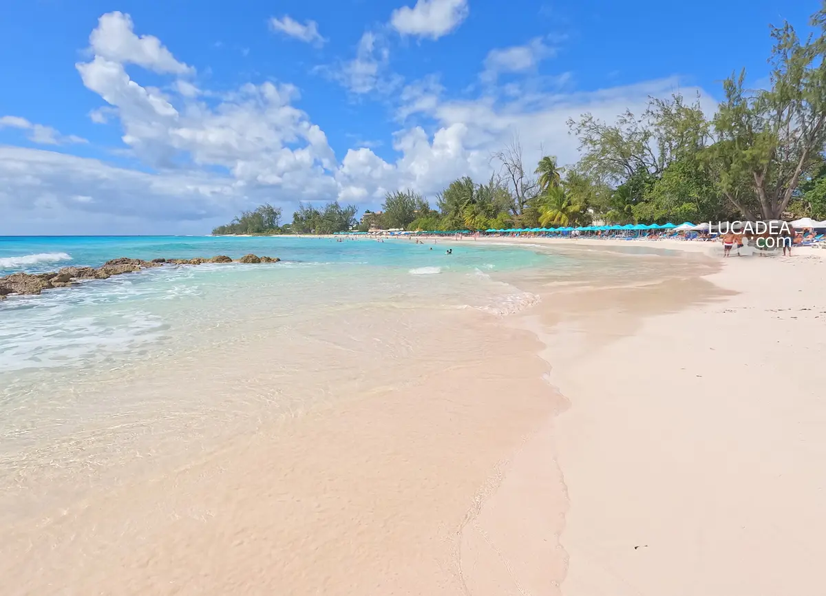 Accra Beach, also called Rockley Beach, in Barbados, with tropical scenery, pale sand and beautiful Caribbean blue water