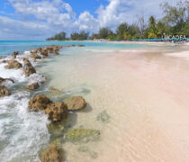 Spiagge da sogno: Accra Beach a Bridgetown a Barbados