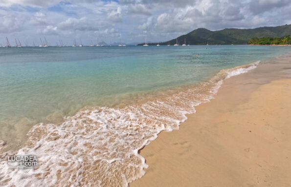 Spiagge da sogno: Pointe Marin in Martinique