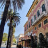 Le palme in viale Rimembranza di fronte all'Hotel Villa Balbi a Sestri Levante