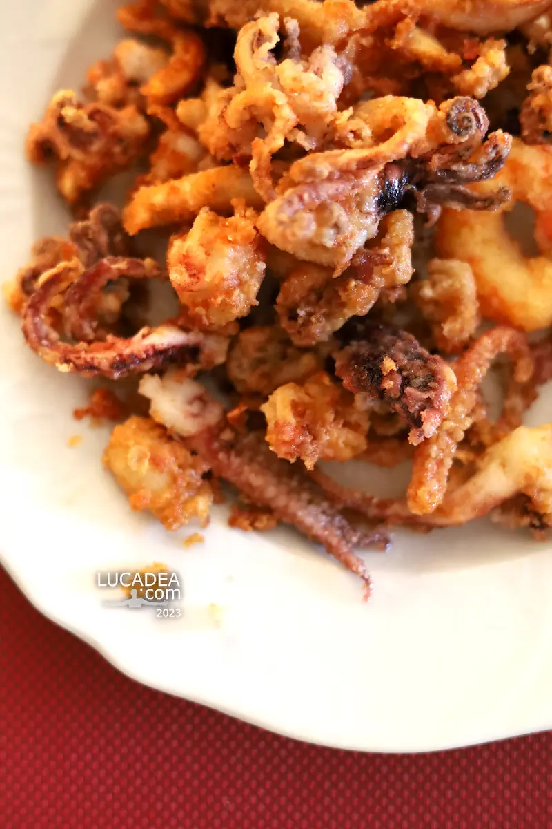 Un gustoso fritto di totani