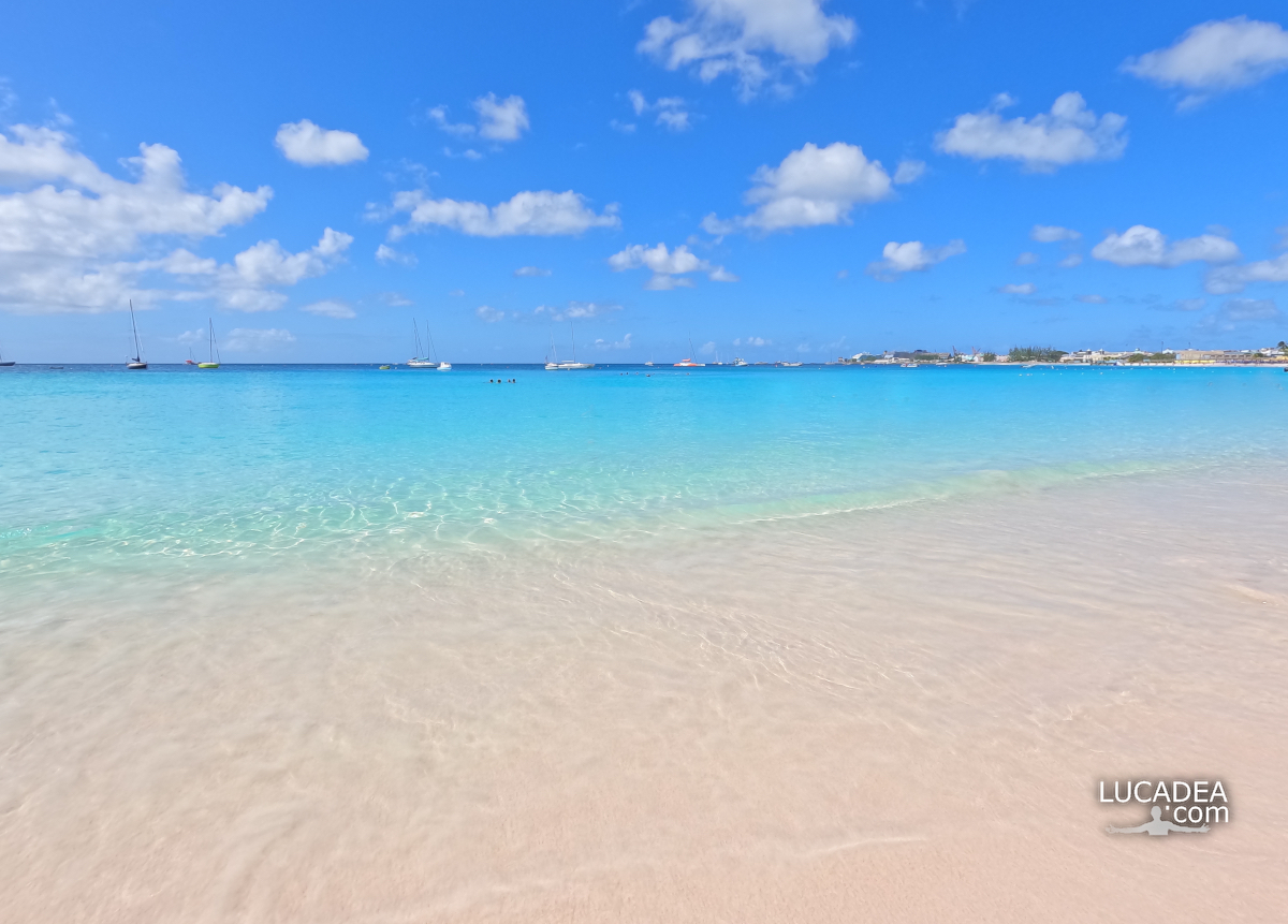 Spiagge da sogno: la iconica baia di Carlisle Bay a Barbados