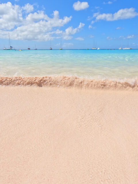 Spiagge da sogno: la iconica baia di Carlisle Bay a Barbados