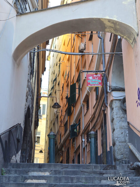 Vico del Campo: un vicolo di ingresso al centro storico di Genova