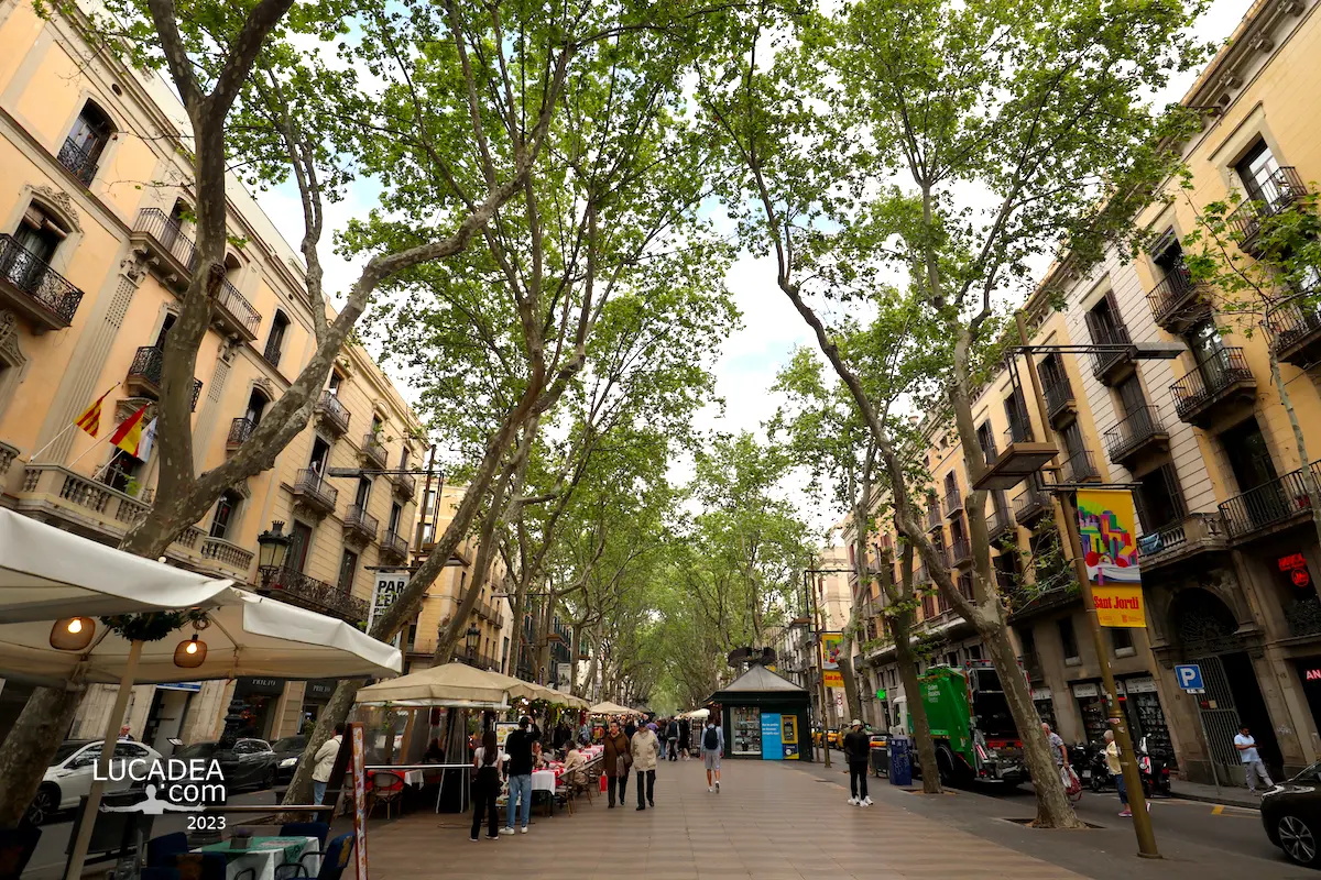 La Rambla di Barcellona con il viale alberato, gli edifici e il movimento della strada nel centro della città