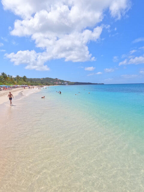 Spiagge da sogno: la indimenticabile Grand Anse a Grenada