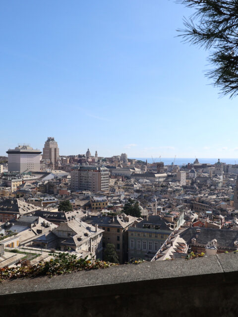 Tutta Genova vista dalla Spianata Castelletto