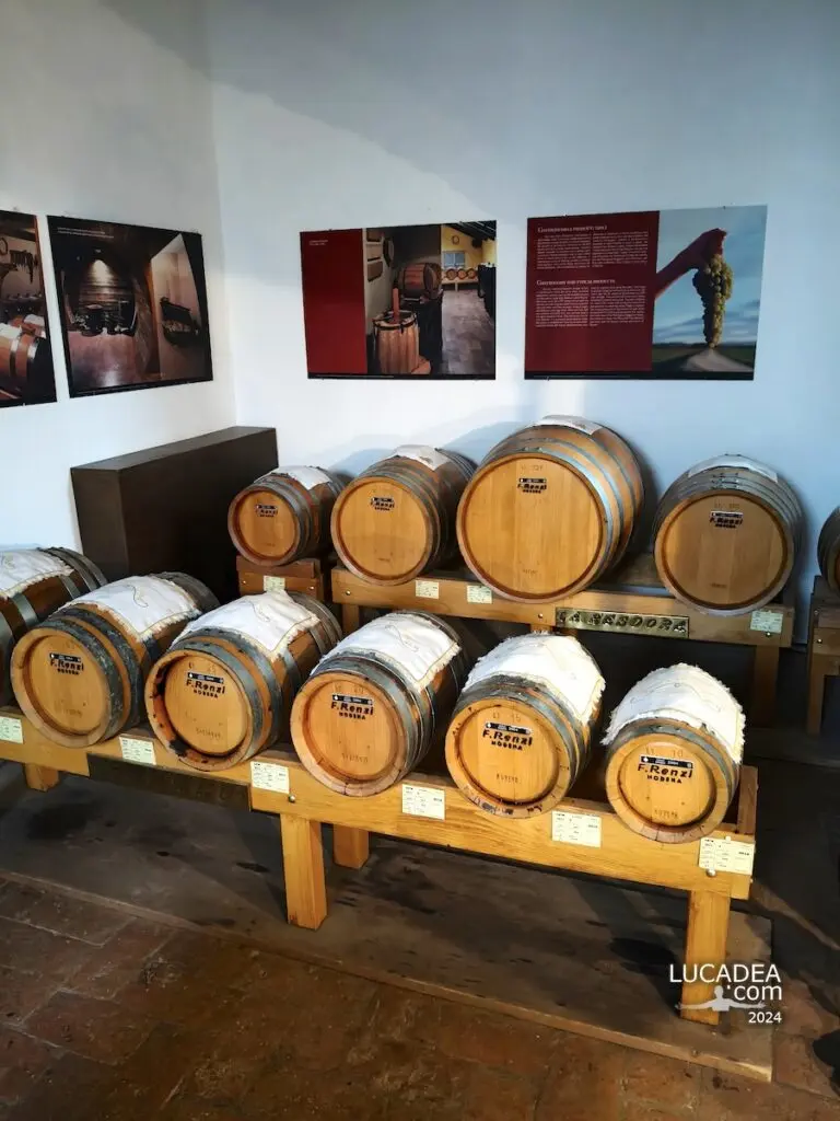 La batteria di botti dell’Acetaia comunale di Modena