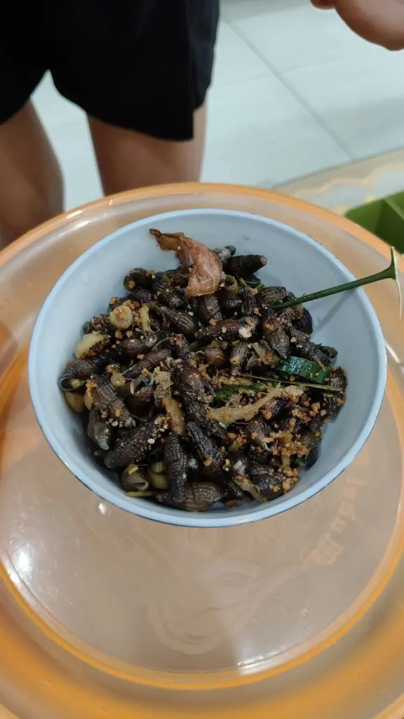 Ốc Lể: le piccole lumache di mare da sgranocchiare