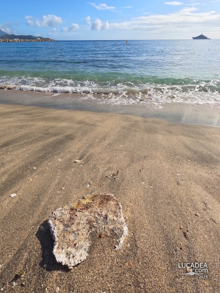Spiaggia da sogno a Frigate Bay a Basseterre con sabbia chiara e mare caraibico in Saint Kitts e Nevis atmosfera naturale