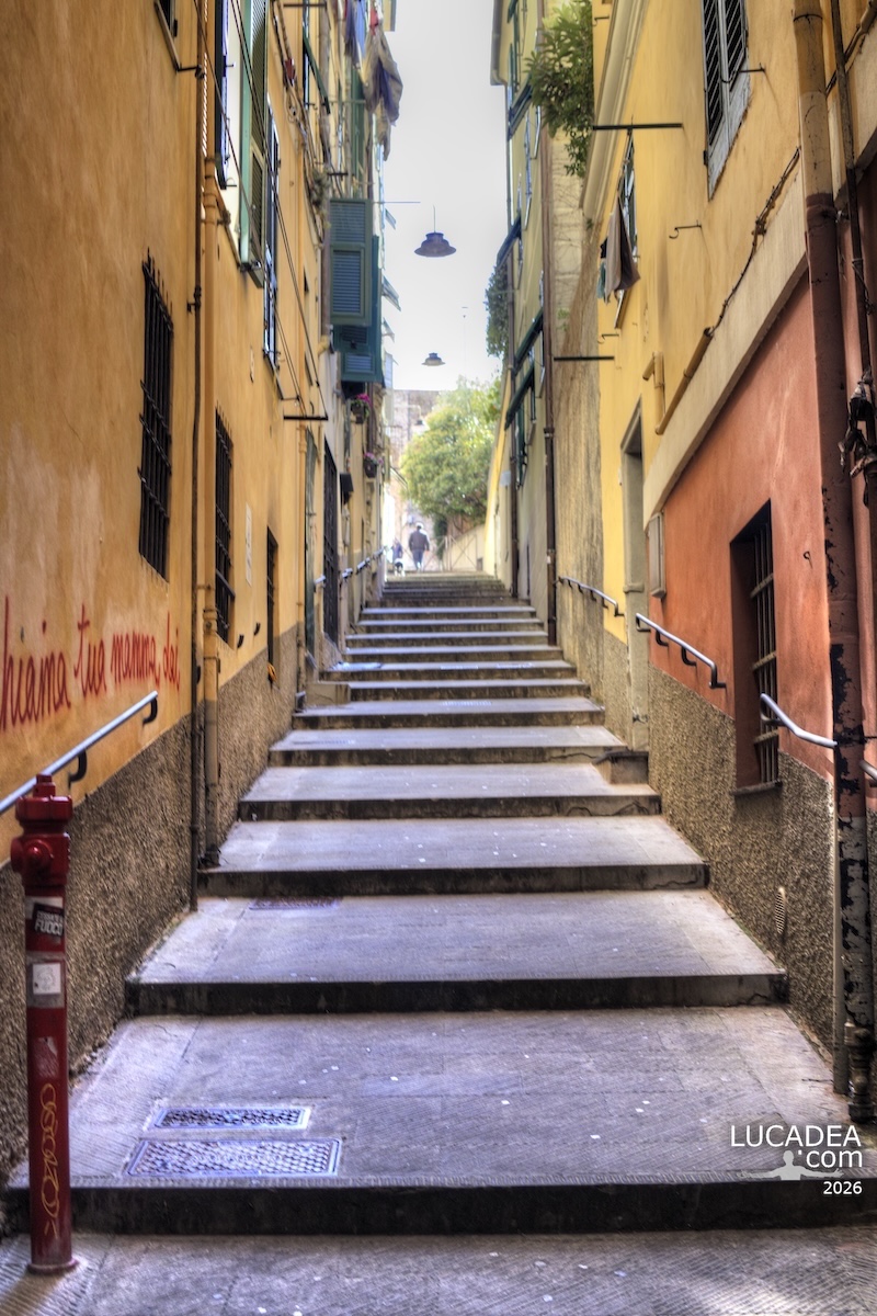 Scorci in salita nel centro storico di Genova con stretti scalini scuri tra i caruggi e pareti alte della città verticale