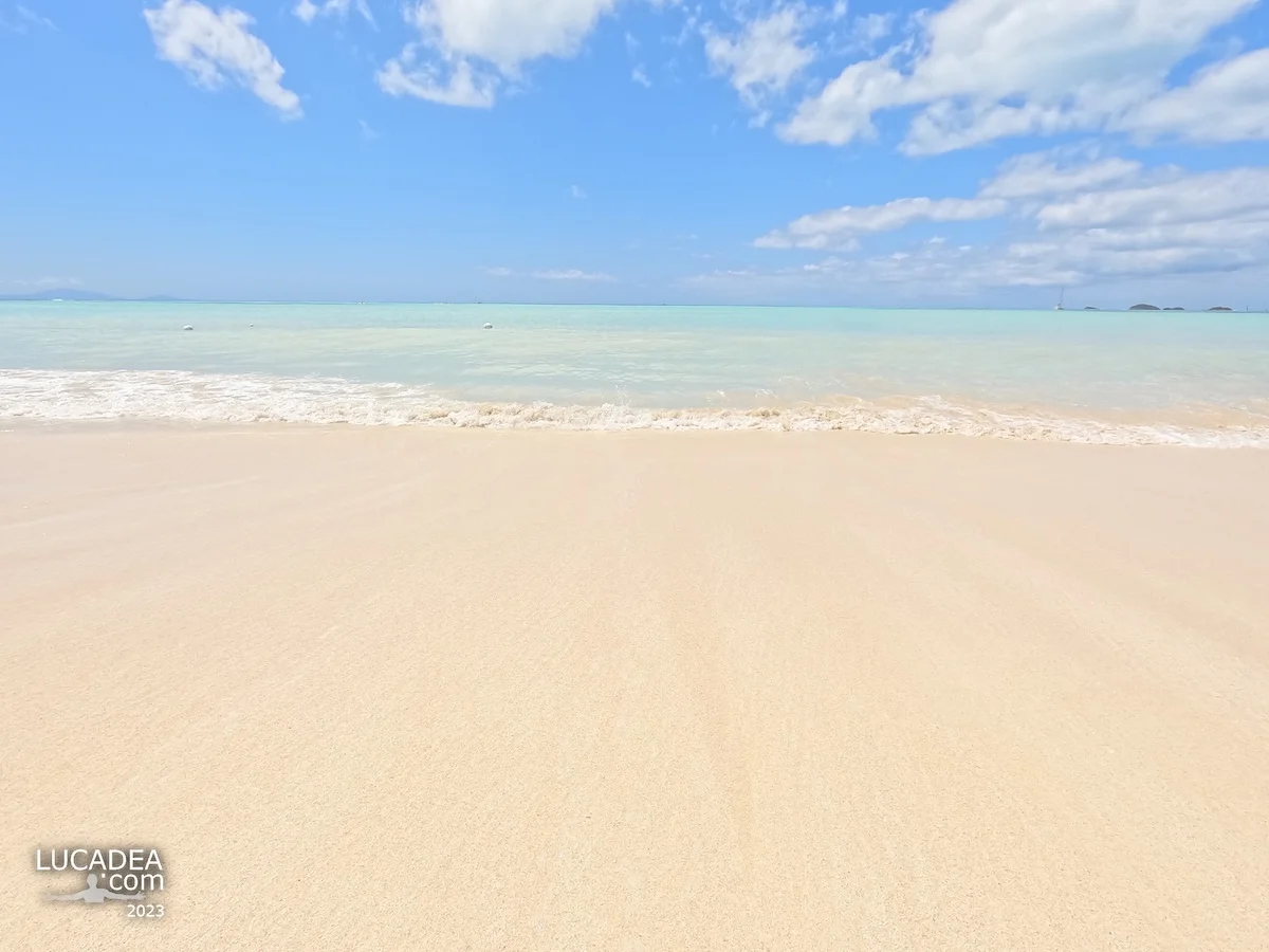 Spiaggia di Jolly Beach ad Antigua con sabbia chiara, onde leggere e mare turchese sotto un cielo azzurro con nuvole