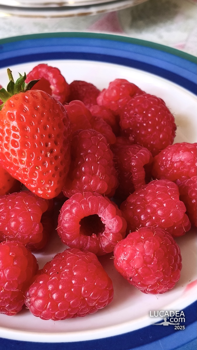 Piatto con lamponi e fragole fresche pronti da mangiare su tavolo, colori vivaci tipici dell’estate in Italia