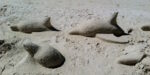 Delfini di sabbia