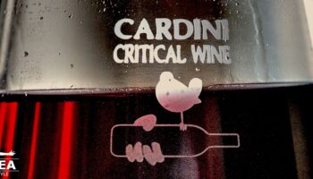 cardini critical wine 2017