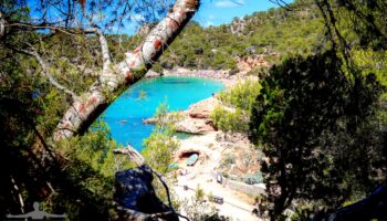 Spiagge da sogno: Cala Salada ad Ibiza