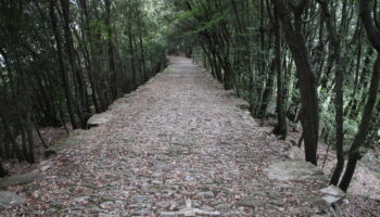Il sentiero per il Santuario di Montallegro a Rapallo