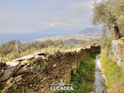 Il sentiero che da Santa Giulia va a Lavagna