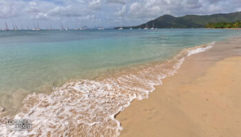 Spiagge da sogno: Pointe Marin in Martinique