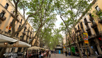 La Rambla di Barcellona: un viaggio tra cultura, storia e divertimento